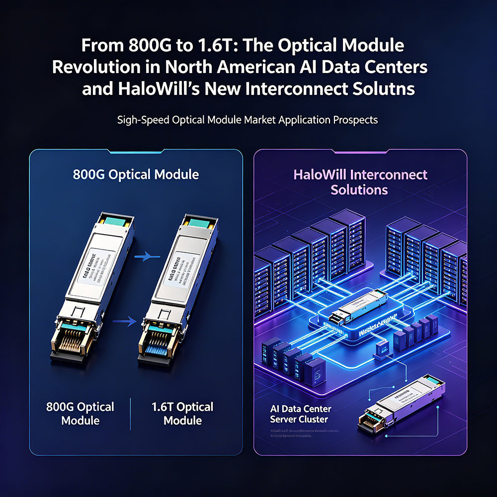 From 800G to 1.6T：The Optical Module Revolution in North American AI Data Centers and HaloWill's New Interconnect Solutions